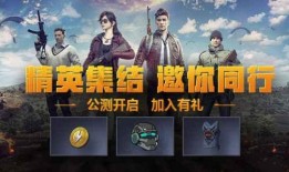 和平精英爆料动画视频,动画视频揭秘神秘内容